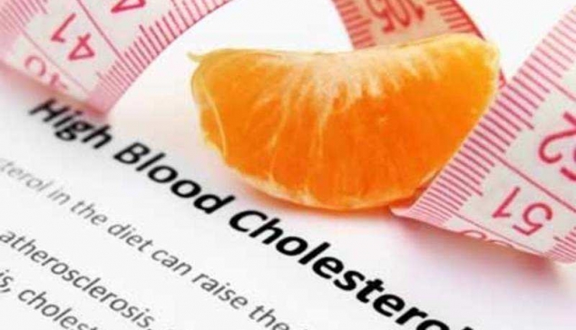 مواد غذایی برای افزایش کلسترول HDL